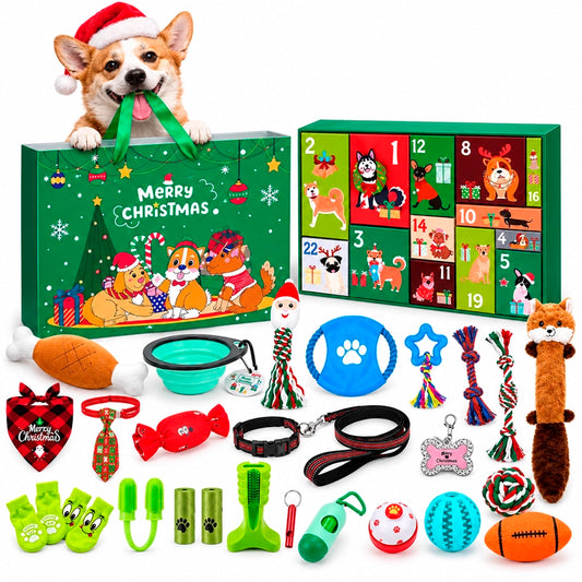 Dog Advent Calendar